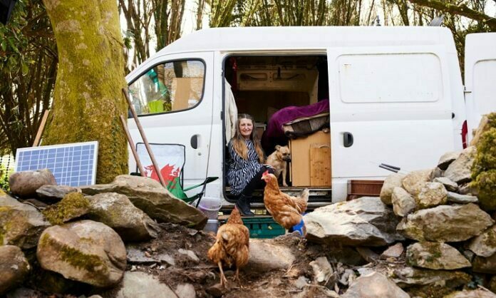 2 Reasons Why Renting a Van For Your Moving Work Is Better Than Buying One